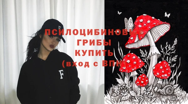 ПСИЛОЦИБИНОВЫЕ ГРИБЫ Тында