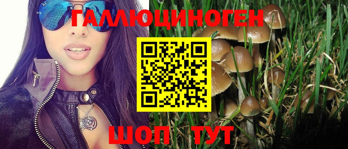 Бошки Шишки  Alpha PVP СОЛЬ   Вход с VPN  Амфетамин   ГАШИШ  Cocaine  ТГК  Снежинск  ЭКСТАЗИ  МЕФ  